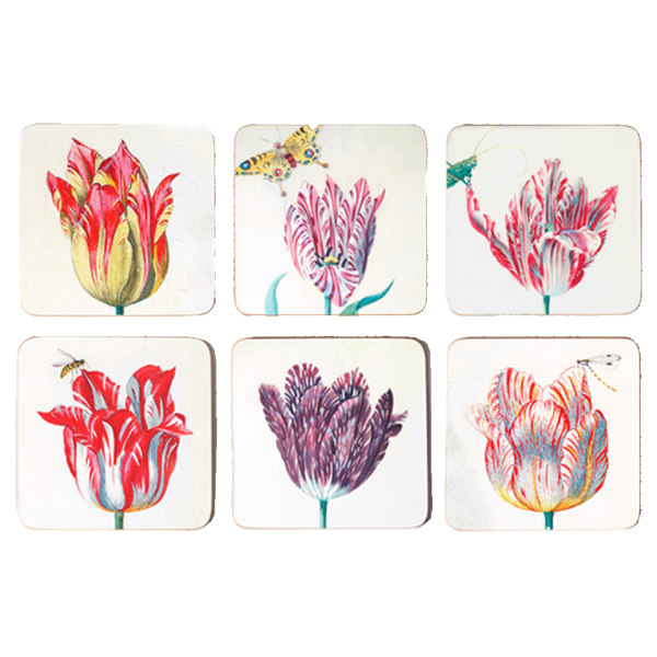Coasters | Tulips