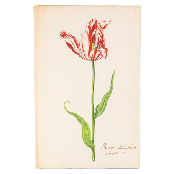 Het Tulpboek (The Tulip Book)