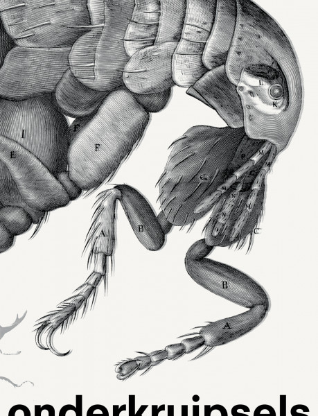 Crawly Creatures: Little Animals in Art and Science