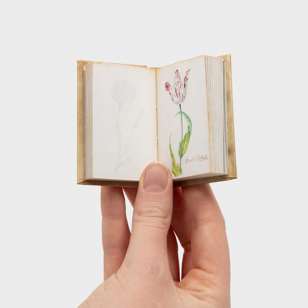 Tulpboek mini Facsimile