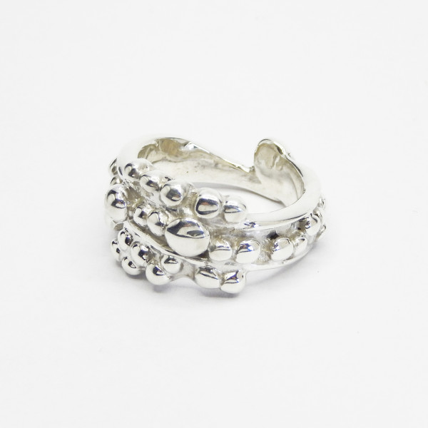 Rots in de Branding ring | Silver