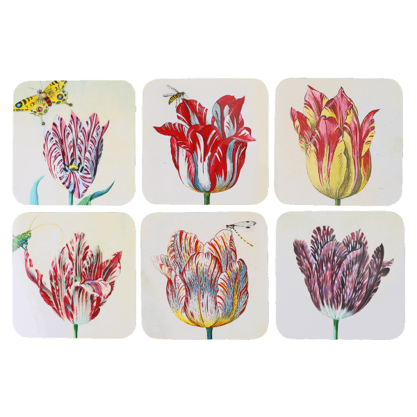 Onderzetters | Tulpen