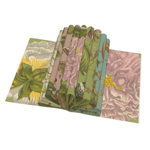 Cadeaupapierboek Maria Sibylla Merian