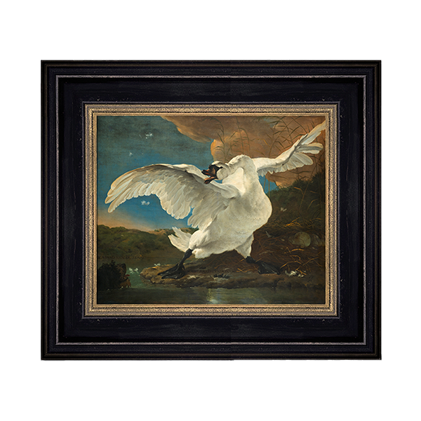 Giclee Bedreigde zwaan
