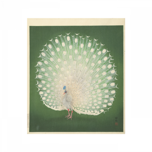 Poster | Peacock