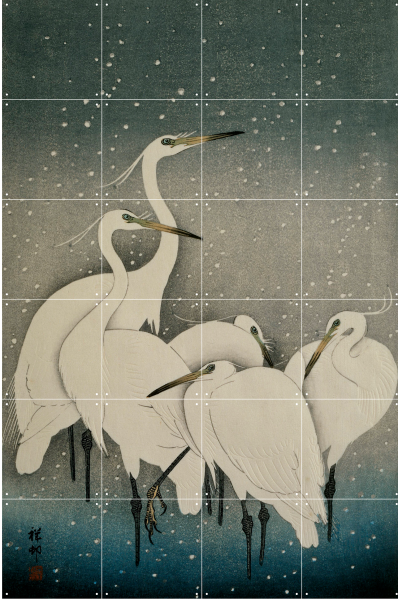 IXXI | Group of Egrets